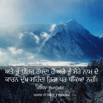 Picture 03 - ਪਰਕਾਸ਼ ਦੀ ਪੋਥੀ 2:3 PANIRV - ਅਤੇ ਤੂੰ ਧੀਰਜ ਰੱਖਦਾ - Bible Verse Picture