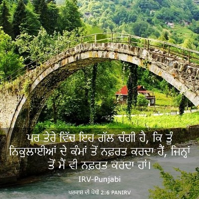 Picture 03 - ਪਰਕਾਸ਼ ਦੀ ਪੋਥੀ 2:6 PANIRV - ਪਰ ਤੇਰੇ ਵਿੱਚ ਇਹ ਗੱਲ - Bible Verse Picture