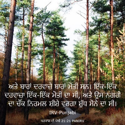 Picture 03 - ਪਰਕਾਸ਼ ਦੀ ਪੋਥੀ 21:21 PANIRV - ਅਤੇ ਬਾਰਾਂ ਦਰਵਾਜ਼ੇ - Bible Verse Picture