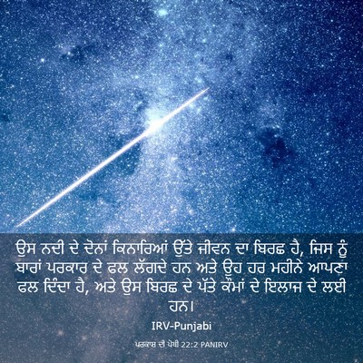 Picture 03 - ਪਰਕਾਸ਼ ਦੀ ਪੋਥੀ 22:2 PANIRV - ਉਸ ਨਦੀ ਦੇ ਦੋਨਾਂ - Bible Verse Picture