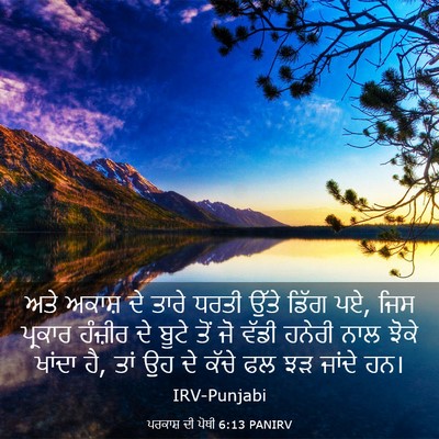 Picture 03 - ਪਰਕਾਸ਼ ਦੀ ਪੋਥੀ 6:13 PANIRV - ਅਤੇ ਅਕਾਸ਼ ਦੇ ਤਾਰੇ - Bible Verse Picture