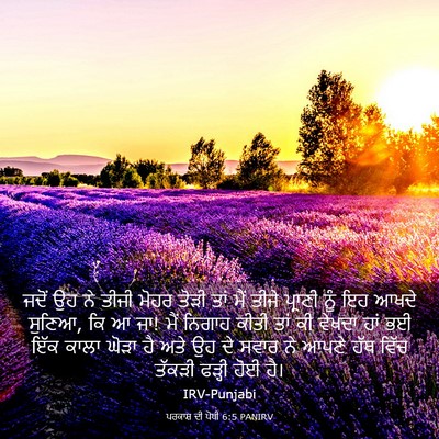 Picture 03 - ਪਰਕਾਸ਼ ਦੀ ਪੋਥੀ 6:5 PANIRV - ਜਦੋਂ ਉਹ ਨੇ ਤੀਜੀ - Bible Verse Picture