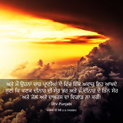 Picture 03 - ਪਰਕਾਸ਼ ਦੀ ਪੋਥੀ 6:6 PANIRV - ਅਤੇ ਮੈਂ ਉਹਨਾਂ ਚਾਰ - Bible Verse Picture