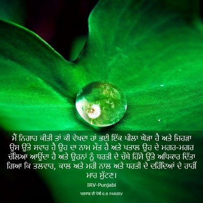 Picture 03 - ਪਰਕਾਸ਼ ਦੀ ਪੋਥੀ 6:8 PANIRV - ਮੈਂ ਨਿਗਾਹ ਕੀਤੀ ਤਾਂ - Bible Verse Picture