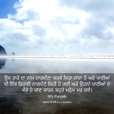 Picture 03 - ਪਰਕਾਸ਼ ਦੀ ਪੋਥੀ 8:11 PANIRV - ਉਸ ਤਾਰੇ ਦਾ ਨਾਮ - Bible Verse Picture