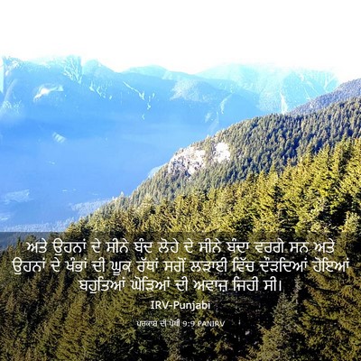 Picture 03 - ਪਰਕਾਸ਼ ਦੀ ਪੋਥੀ 9:9 PANIRV - ਅਤੇ ਉਹਨਾਂ ਦੇ ਸੀਨੇ - Bible Verse Picture