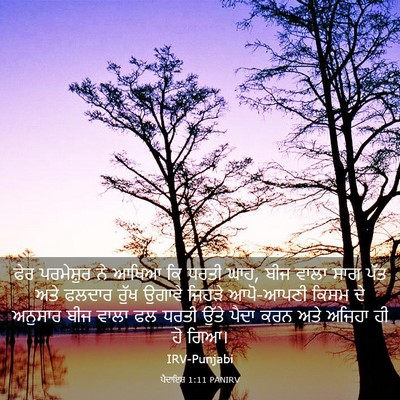 Picture 03 - ਪੈਦਾਇਸ਼ 1:11 PANIRV - ਫੇਰ ਪਰਮੇਸ਼ੁਰ ਨੇ - Bible Verse Picture