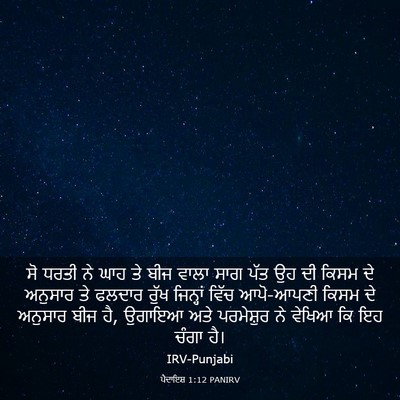 Picture 03 - ਪੈਦਾਇਸ਼ 1:12 PANIRV - ਸੋ ਧਰਤੀ ਨੇ ਘਾਹ ਤੇ - Bible Verse Picture