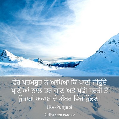 Picture 03 - ਪੈਦਾਇਸ਼ 1:20 PANIRV - ਫੇਰ ਪਰਮੇਸ਼ੁਰ ਨੇ - Bible Verse Picture