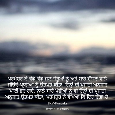 Picture 03 - ਪੈਦਾਇਸ਼ 1:21 PANIRV - ਪਰਮੇਸ਼ੁਰ ਨੇ - Bible Verse Picture