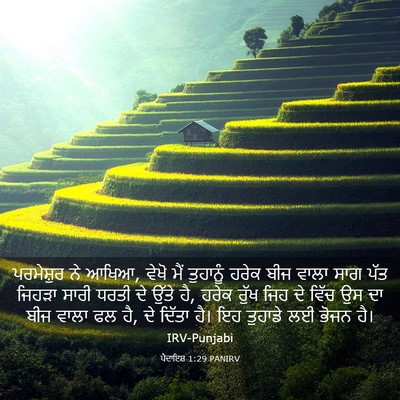 Picture 03 - ਪੈਦਾਇਸ਼ 1:29 PANIRV - ਪਰਮੇਸ਼ੁਰ ਨੇ ਆਖਿਆ, - Bible Verse Picture