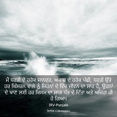 Picture 03 - ਪੈਦਾਇਸ਼ 1:30 PANIRV - ਮੈਂ ਧਰਤੀ ਦੇ ਹਰੇਕ - Bible Verse Picture