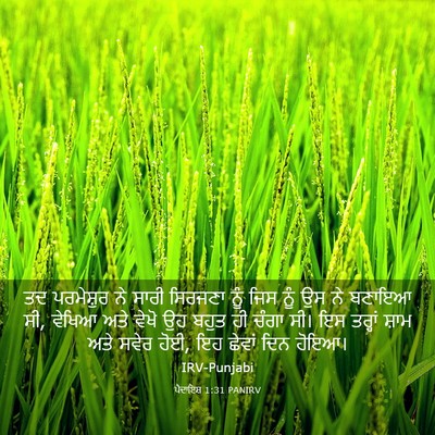 Picture 03 - ਪੈਦਾਇਸ਼ 1:31 PANIRV - ਤਦ ਪਰਮੇਸ਼ੁਰ ਨੇ - Bible Verse Picture