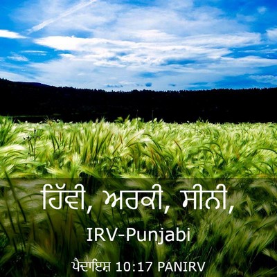 Picture 03 - ਪੈਦਾਇਸ਼ 10:17 PANIRV - ਹਿੱਵੀ, ਅਰਕੀ, - Bible Verse Picture