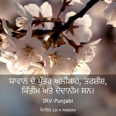 Picture 03 - ਪੈਦਾਇਸ਼ 10:4 PANIRV - ਯਾਵਾਨ ਦੇ ਪੁੱਤਰ - Bible Verse Picture