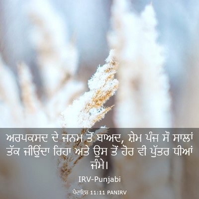 Picture 03 - ਪੈਦਾਇਸ਼ 11:11 PANIRV - ਅਰਪਕਸਦ ਦੇ ਜਨਮ ਤੋਂ - Bible Verse Picture