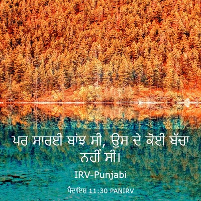 Picture 03 - ਪੈਦਾਇਸ਼ 11:30 PANIRV - ਪਰ ਸਾਰਈ ਬਾਂਝ ਸੀ, ਉਸ - Bible Verse Picture