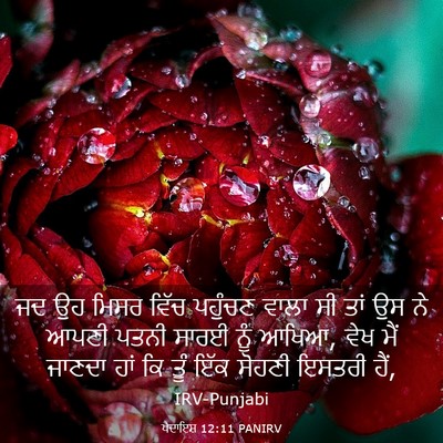 Picture 03 - ਪੈਦਾਇਸ਼ 12:11 PANIRV - ਜਦ ਉਹ ਮਿਸਰ ਵਿੱਚ - Bible Verse Picture