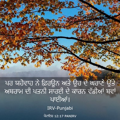 Picture 03 - ਪੈਦਾਇਸ਼ 12:17 PANIRV - ਪਰ ਯਹੋਵਾਹ ਨੇ - Bible Verse Picture