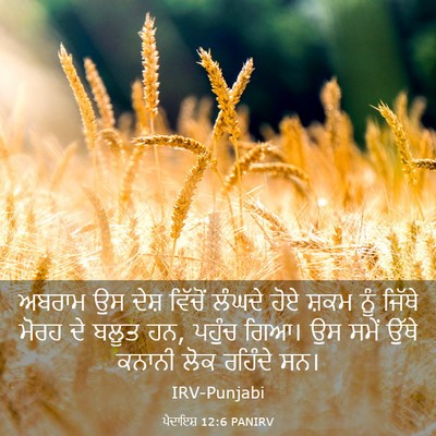 Picture 03 - ਪੈਦਾਇਸ਼ 12:6 PANIRV - ਅਬਰਾਮ ਉਸ ਦੇਸ਼ - Bible Verse Picture