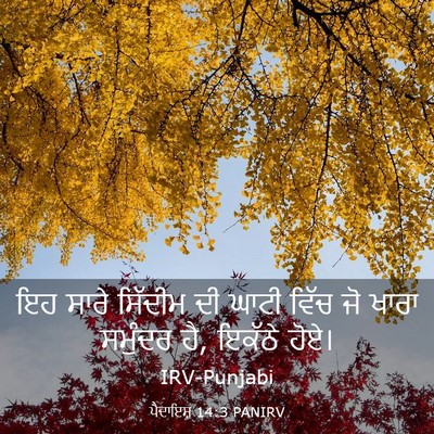 Picture 03 - ਪੈਦਾਇਸ਼ 14:3 PANIRV - ਇਹ ਸਾਰੇ ਸਿੱਦੀਮ ਦੀ - Bible Verse Picture