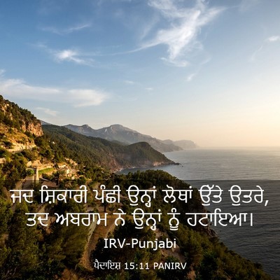 Picture 03 - ਪੈਦਾਇਸ਼ 15:11 PANIRV - ਜਦ ਸ਼ਿਕਾਰੀ ਪੰਛੀ - Bible Verse Picture