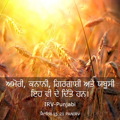 Picture 03 - ਪੈਦਾਇਸ਼ 15:21 PANIRV - ਅਮੋਰੀ, ਕਨਾਨੀ, - Bible Verse Picture