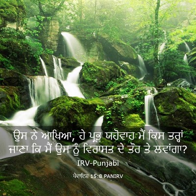 Picture 03 - ਪੈਦਾਇਸ਼ 15:8 PANIRV - ਉਸ ਨੇ ਆਖਿਆ, ਹੇ - Bible Verse Picture