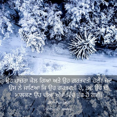 Picture 03 - ਪੈਦਾਇਸ਼ 16:4 PANIRV - ਉਹ ਹਾਜ਼ਰਾ ਕੋਲ ਗਿਆ - Bible Verse Picture