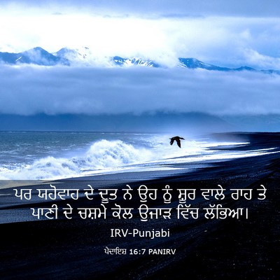 Picture 03 - ਪੈਦਾਇਸ਼ 16:7 PANIRV - ਪਰ ਯਹੋਵਾਹ ਦੇ ਦੂਤ ਨੇ - Bible Verse Picture