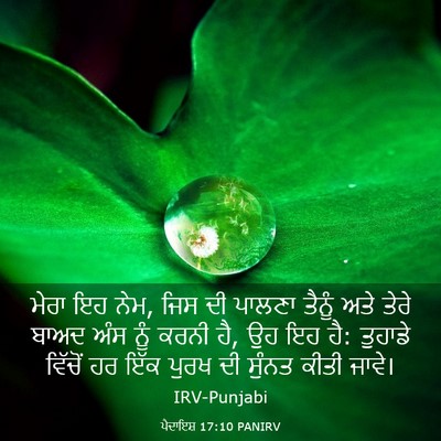 Picture 03 - ਪੈਦਾਇਸ਼ 17:10 PANIRV - ਮੇਰਾ ਇਹ ਨੇਮ, ਜਿਸ ਦੀ - Bible Verse Picture