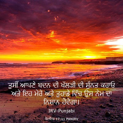 Picture 03 - ਪੈਦਾਇਸ਼ 17:11 PANIRV - ਤੁਸੀਂ ਆਪਣੇ ਬਦਨ ਦੀ - Bible Verse Picture