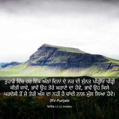 Picture 03 - ਪੈਦਾਇਸ਼ 17:12 PANIRV - ਤੁਹਾਡੇ ਵਿੱਚ ਹਰ ਇੱਕ - Bible Verse Picture