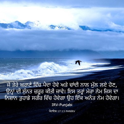 Picture 03 - ਪੈਦਾਇਸ਼ 17:13 PANIRV - ਜੋ ਤੇਰੇ ਘਰਾਣੇ ਵਿੱਚ - Bible Verse Picture