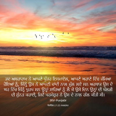Picture 03 - ਪੈਦਾਇਸ਼ 17:23 PANIRV - ਤਦ ਅਬਰਾਹਾਮ ਨੇ ਆਪਣੇ - Bible Verse Picture