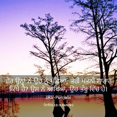 Picture 03 - ਪੈਦਾਇਸ਼ 18:9 PANIRV - ਫੇਰ ਉਨ੍ਹਾਂ ਨੇ ਉਹ - Bible Verse Picture