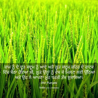 Picture 03 - ਪੈਦਾਇਸ਼ 19:1 PANIRV - ਸ਼ਾਮ ਨੂੰ ਦੋ ਦੂਤ - Bible Verse Picture
