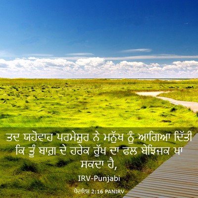 Picture 03 - ਪੈਦਾਇਸ਼ 2:16 PANIRV - ਤਦ ਯਹੋਵਾਹ - Bible Verse Picture