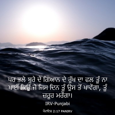 Picture 03 - ਪੈਦਾਇਸ਼ 2:17 PANIRV - ਪਰ ਭਲੇ ਬੁਰੇ ਦੇ ਗਿਆਨ - Bible Verse Picture