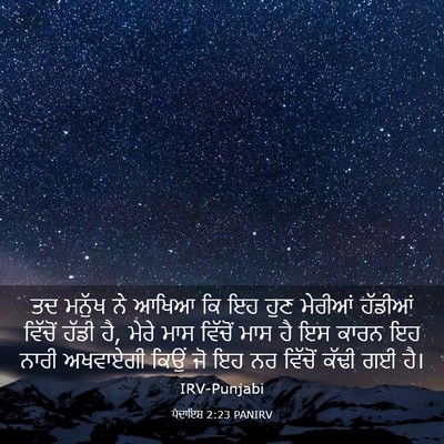 Picture 03 - ਪੈਦਾਇਸ਼ 2:23 PANIRV - ਤਦ ਮਨੁੱਖ ਨੇ ਆਖਿਆ ਕਿ - Bible Verse Picture