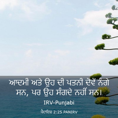 Picture 03 - ਪੈਦਾਇਸ਼ 2:25 PANIRV - ਆਦਮੀ ਅਤੇ ਉਹ ਦੀ ਪਤਨੀ - Bible Verse Picture