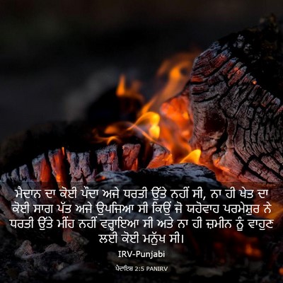 Picture 03 - ਪੈਦਾਇਸ਼ 2:5 PANIRV - ਮੈਦਾਨ ਦਾ ਕੋਈ ਪੌਦਾ - Bible Verse Picture