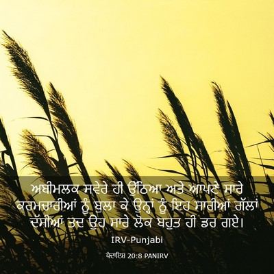 Picture 03 - ਪੈਦਾਇਸ਼ 20:8 PANIRV - ਅਬੀਮਲਕ ਸਵੇਰੇ ਹੀ - Bible Verse Picture