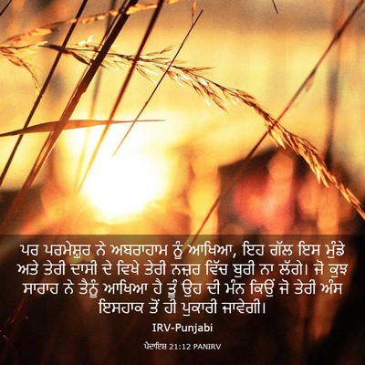 Picture 03 - ਪੈਦਾਇਸ਼ 21:12 PANIRV - ਪਰ ਪਰਮੇਸ਼ੁਰ ਨੇ - Bible Verse Picture