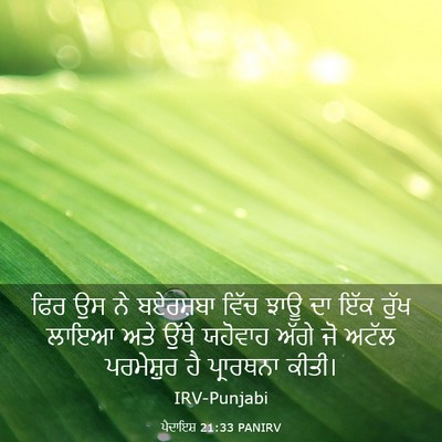 Picture 03 - ਪੈਦਾਇਸ਼ 21:33 PANIRV - ਫਿਰ ਉਸ ਨੇ ਬਏਰਸ਼ਬਾ - Bible Verse Picture