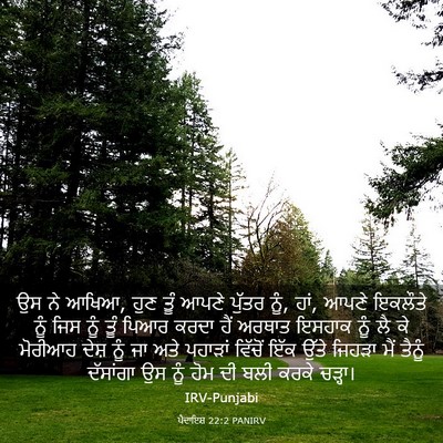 Picture 03 - ਪੈਦਾਇਸ਼ 22:2 PANIRV - ਉਸ ਨੇ ਆਖਿਆ, ਹੁਣ ਤੂੰ - Bible Verse Picture