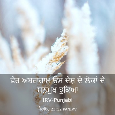 Picture 03 - ਪੈਦਾਇਸ਼ 23:12 PANIRV - ਫੇਰ ਅਬਰਾਹਾਮ ਉਸ - Bible Verse Picture