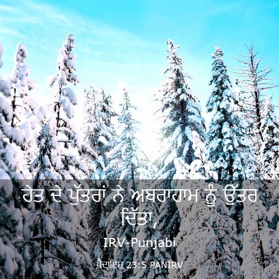 Picture 03 - ਪੈਦਾਇਸ਼ 23:5 PANIRV - ਹੇਤ ਦੇ ਪੁੱਤਰਾਂ ਨੇ - Bible Verse Picture