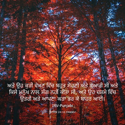 Picture 03 - ਪੈਦਾਇਸ਼ 24:16 PANIRV - ਅਤੇ ਉਹ ਕੁੜੀ ਵੇਖਣ - Bible Verse Picture