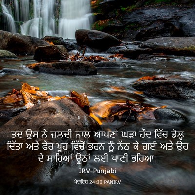 Picture 03 - ਪੈਦਾਇਸ਼ 24:20 PANIRV - ਤਦ ਉਸ ਨੇ ਜਲਦੀ ਨਾਲ - Bible Verse Picture
